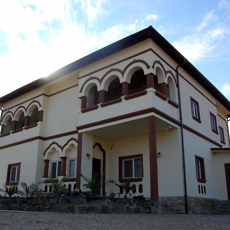 Vila Phoenix Calimanesti Luaran gambar