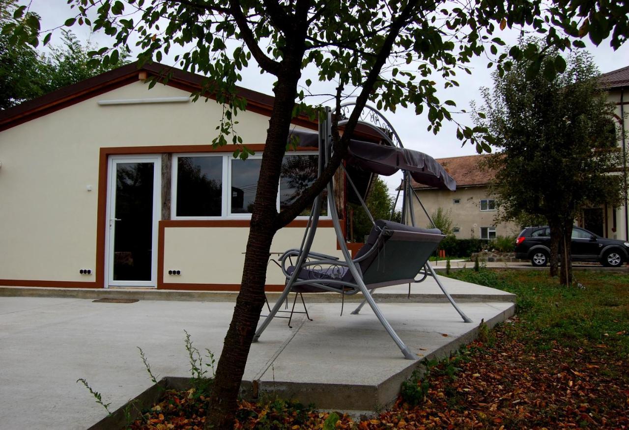 Vila Phoenix Calimanesti Luaran gambar