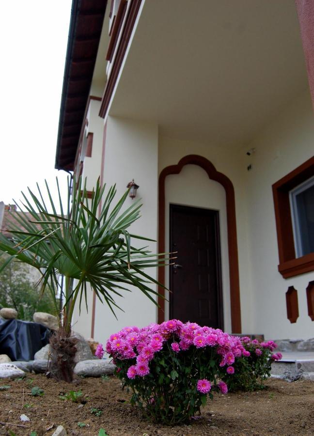 Vila Phoenix Calimanesti Luaran gambar