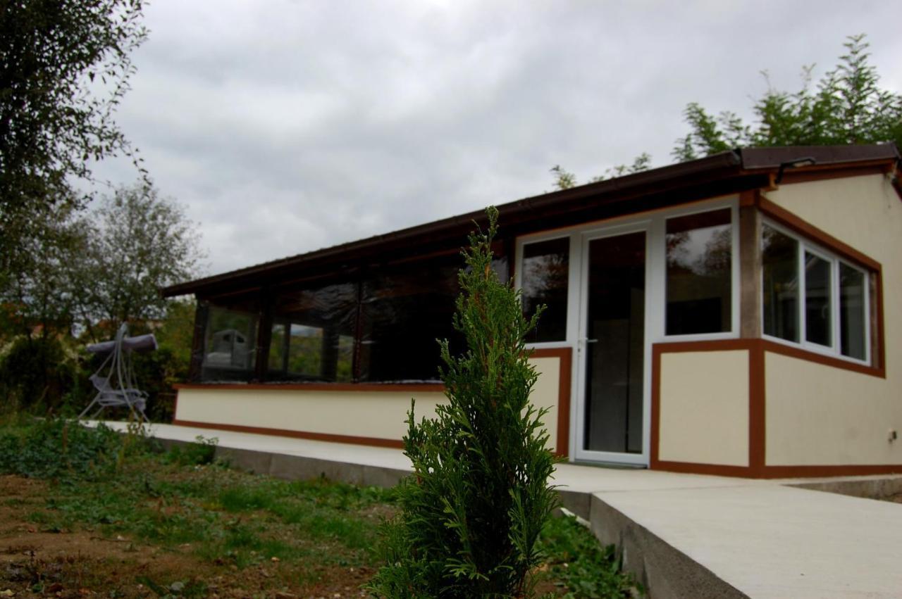 Vila Phoenix Calimanesti Luaran gambar