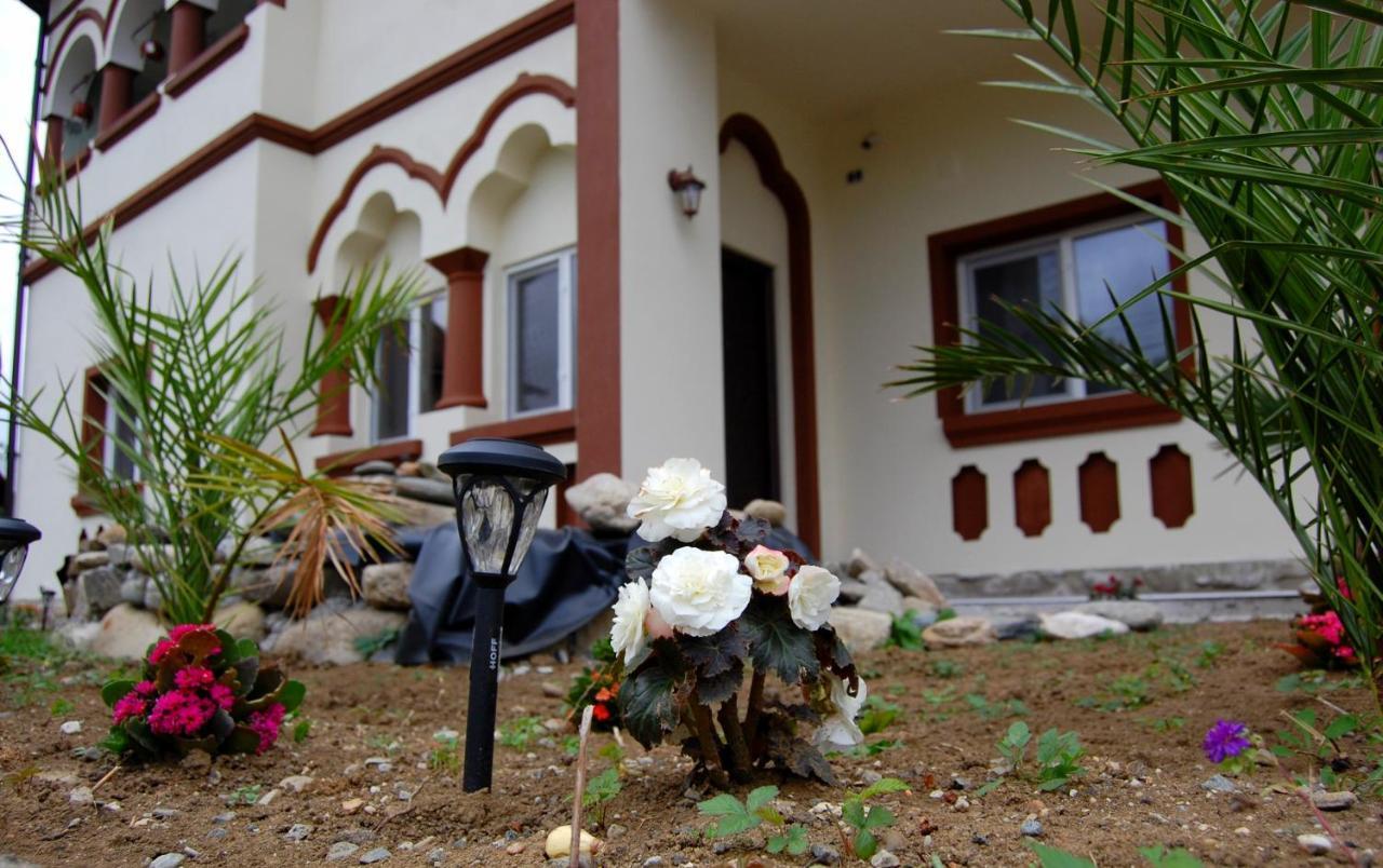 Vila Phoenix Calimanesti Luaran gambar