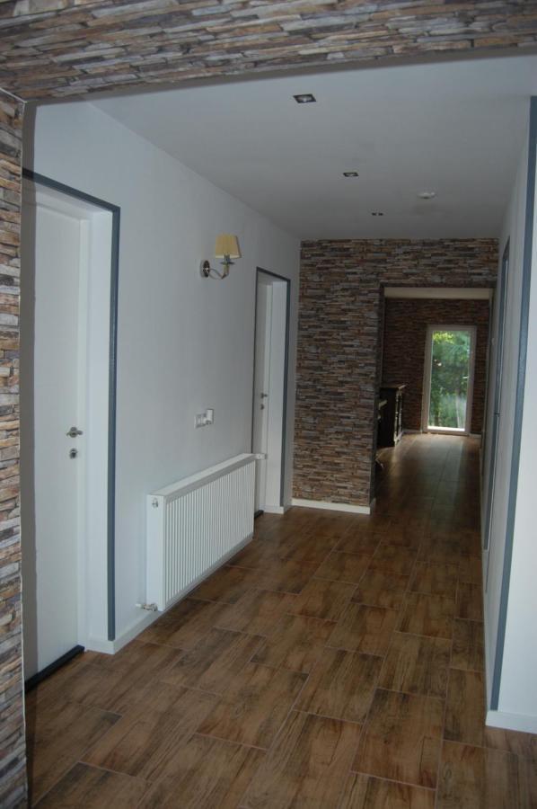 Vila Phoenix Calimanesti Luaran gambar