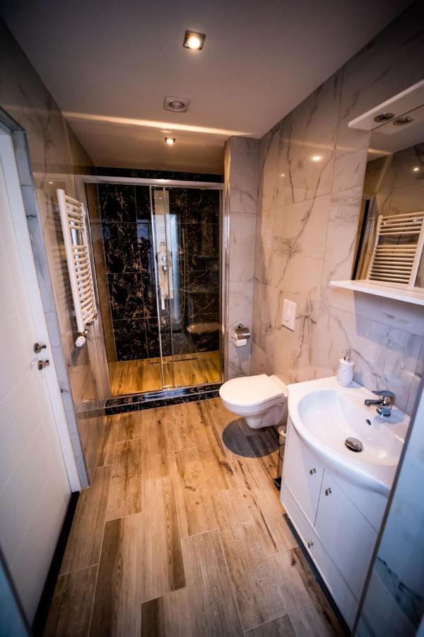 Vila Phoenix Calimanesti Luaran gambar