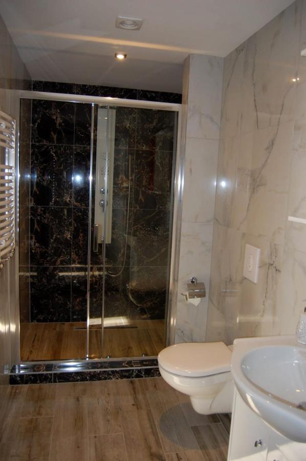 Vila Phoenix Calimanesti Luaran gambar