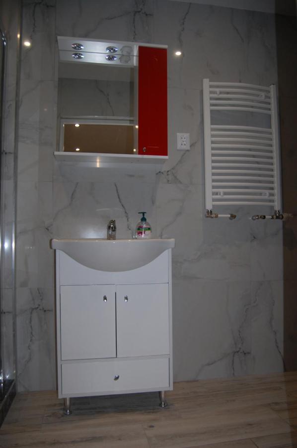 Vila Phoenix Calimanesti Luaran gambar