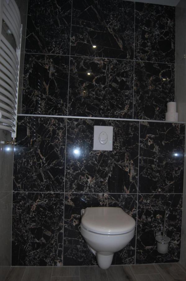 Vila Phoenix Calimanesti Luaran gambar