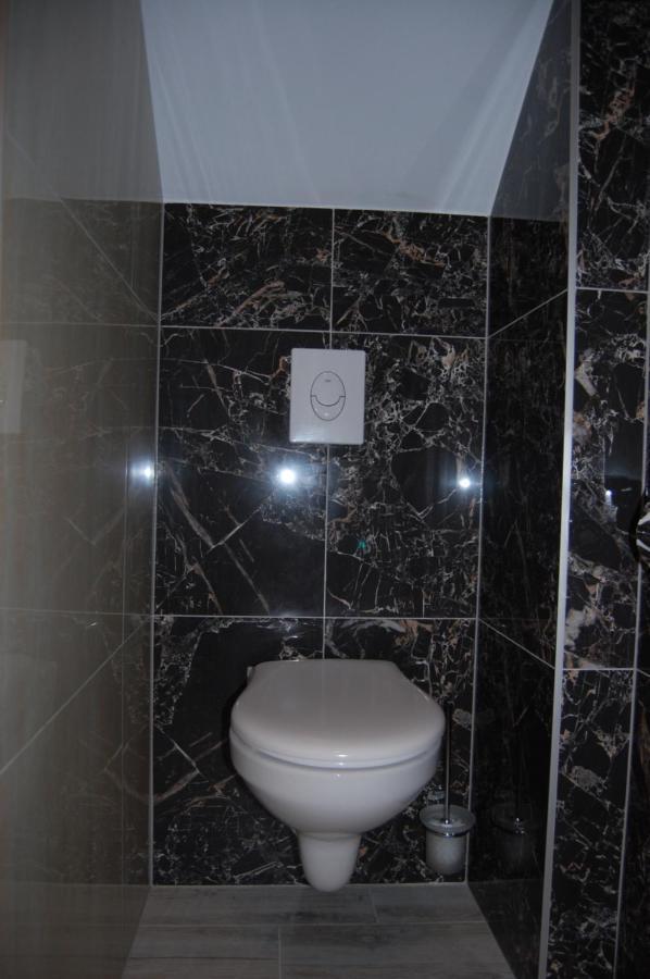 Vila Phoenix Calimanesti Luaran gambar