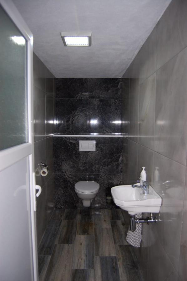 Vila Phoenix Calimanesti Luaran gambar