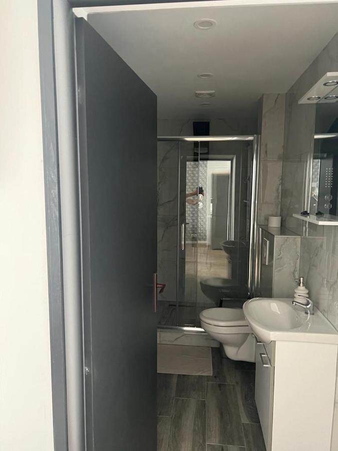 Vila Phoenix Calimanesti Luaran gambar