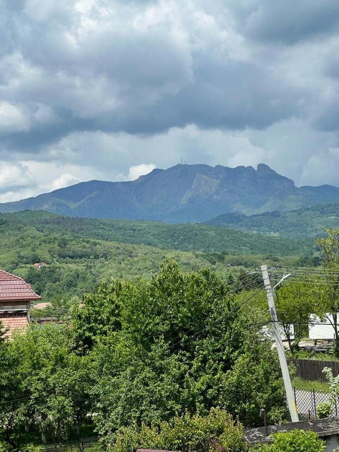 Vila Phoenix Calimanesti Luaran gambar